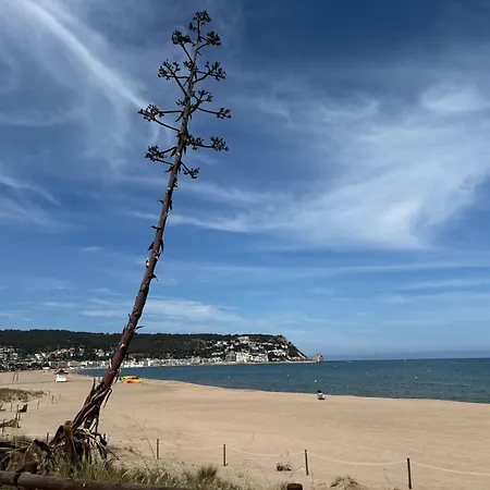 Calella 4 - L'estartit, Els Griells - Es-323-80 *